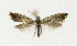  ( - NHMO-DAR-11829)  @12 [ ] CreativeCommons - Attribution Non-Commercial Share-Alike (2017) Unspecified University of Oslo, Natural History Museum