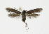  ( - NHMO-DAR-11840)  @13 [ ] CreativeCommons - Attribution Non-Commercial Share-Alike (2017) Unspecified University of Oslo, Natural History Museum