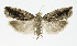  ( - NHMO-DAR-11852)  @13 [ ] CreativeCommons - Attribution Non-Commercial Share-Alike (2017) Unspecified University of Oslo, Natural History Museum