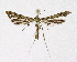  ( - NHMO-DAR-11857)  @14 [ ] CreativeCommons - Attribution Non-Commercial Share-Alike (2017) Unspecified University of Oslo, Natural History Museum