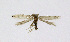  ( - NHMO-DAR-11868)  @13 [ ] CreativeCommons - Attribution Non-Commercial Share-Alike (2017) Unspecified University of Oslo, Natural History Museum
