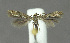  ( - NHMO-DAR-11881)  @14 [ ] CreativeCommons - Attribution Non-Commercial Share-Alike (2017) Unspecified University of Oslo, Natural History Museum