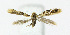  ( - NHMO-DAR-11994)  @13 [ ] CreativeCommons - Attribution Non-Commercial Share-Alike (2017) Unspecified University of Oslo, Natural History Museum
