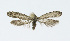  ( - NHMO-DAR-12004)  @12 [ ] CreativeCommons - Attribution Non-Commercial Share-Alike (2017) Unspecified University of Oslo, Natural History Museum