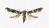  ( - NHMO-DAR-12007)  @11 [ ] CreativeCommons - Attribution Non-Commercial Share-Alike (2017) Unspecified University of Oslo, Natural History Museum