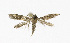  ( - NHMO-DAR-12009)  @11 [ ] CreativeCommons - Attribution Non-Commercial Share-Alike (2017) Unspecified University of Oslo, Natural History Museum