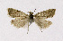  ( - NHMO-DAR-12014)  @12 [ ] CreativeCommons - Attribution Non-Commercial Share-Alike (2017) Unspecified University of Oslo, Natural History Museum