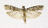  ( - NHMO-DAR-12036)  @13 [ ] CreativeCommons - Attribution Non-Commercial Share-Alike (2017) Unspecified University of Oslo, Natural History Museum