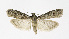  ( - NHMO-DAR-12040)  @14 [ ] CreativeCommons - Attribution Non-Commercial Share-Alike (2017) Unspecified University of Oslo, Natural History Museum