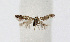  ( - NHMO-DAR-12050)  @12 [ ] CreativeCommons - Attribution Non-Commercial Share-Alike (2017) Unspecified University of Oslo, Natural History Museum