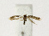  ( - NHMO-DAR-12506)  @12 [ ] CreativeCommons - Attribution Non-Commercial Share-Alike (2017) Unspecified University of Oslo, Natural History Museum