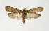  ( - NHMO-DAR-13511)  @14 [ ] CreativeCommons - Attribution Non-Commercial Share-Alike (2017) Unspecified University of Oslo, Natural History Museum