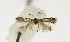  ( - NHMO-DAR-12524)  @12 [ ] CreativeCommons - Attribution Non-Commercial Share-Alike (2017) Unspecified University of Oslo, Natural History Museum