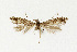  ( - NHMO-DAR-13545)  @11 [ ] CreativeCommons - Attribution Non-Commercial Share-Alike (2017) Unspecified University of Oslo, Natural History Museum