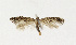  ( - NHMO-DAR-13546)  @11 [ ] CreativeCommons - Attribution Non-Commercial Share-Alike (2017) Unspecified University of Oslo, Natural History Museum