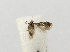  ( - NHMO-DAR-12525)  @12 [ ] CreativeCommons - Attribution Non-Commercial Share-Alike (2017) Unspecified University of Oslo, Natural History Museum