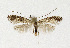  ( - NHMO-DAR-13549)  @11 [ ] CreativeCommons - Attribution Non-Commercial Share-Alike (2017) Unspecified University of Oslo, Natural History Museum