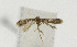  ( - NHMO-DAR-12526)  @11 [ ] CreativeCommons - Attribution Non-Commercial Share-Alike (2017) Unspecified University of Oslo, Natural History Museum