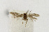  ( - NHMO-DAR-12527)  @11 [ ] CreativeCommons - Attribution Non-Commercial Share-Alike (2017) Unspecified University of Oslo, Natural History Museum