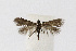  ( - NHMO-DAR-12528)  @13 [ ] CreativeCommons - Attribution Non-Commercial Share-Alike (2017) Unspecified University of Oslo, Natural History Museum