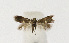  ( - NHMO-DAR-12529)  @13 [ ] CreativeCommons - Attribution Non-Commercial Share-Alike (2017) Unspecified University of Oslo, Natural History Museum