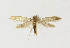  ( - NHMO-DAR-13596)  @13 [ ] CreativeCommons - Attribution Non-Commercial Share-Alike (2017) Unspecified University of Oslo, Natural History Museum