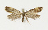  ( - NHMO-DAR-13608)  @13 [ ] CreativeCommons - Attribution Non-Commercial Share-Alike (2017) Unspecified University of Oslo, Natural History Museum
