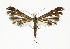  ( - NHMO-DAR-13621)  @11 [ ] CreativeCommons - Attribution Non-Commercial Share-Alike (2017) Unspecified University of Oslo, Natural History Museum
