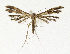  ( - NHMO-DAR-13623)  @11 [ ] CreativeCommons - Attribution Non-Commercial Share-Alike (2017) Unspecified University of Oslo, Natural History Museum