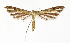  ( - NHMO-DAR-13627)  @11 [ ] CreativeCommons - Attribution Non-Commercial Share-Alike (2017) Unspecified University of Oslo, Natural History Museum