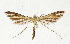  ( - NHMO-DAR-13628)  @11 [ ] CreativeCommons - Attribution Non-Commercial Share-Alike (2017) Unspecified University of Oslo, Natural History Museum