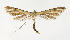  ( - NHMO-DAR-13629)  @11 [ ] CreativeCommons - Attribution Non-Commercial Share-Alike (2017) Unspecified University of Oslo, Natural History Museum
