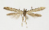  ( - NHMO-DAR-13632)  @11 [ ] CreativeCommons - Attribution Non-Commercial Share-Alike (2017) Unspecified University of Oslo, Natural History Museum