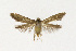  ( - NHMO-DAR-13634)  @11 [ ] CreativeCommons - Attribution Non-Commercial Share-Alike (2017) Unspecified University of Oslo, Natural History Museum