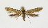  ( - NHMO-DAR-13635)  @11 [ ] CreativeCommons - Attribution Non-Commercial Share-Alike (2017) Unspecified University of Oslo, Natural History Museum