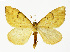  ( - NHMO-DAR-13642)  @14 [ ] CreativeCommons - Attribution Non-Commercial Share-Alike (2017) Unspecified University of Oslo, Natural History Museum