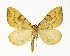  ( - NHMO-DAR-13643)  @14 [ ] CreativeCommons - Attribution Non-Commercial Share-Alike (2017) Unspecified University of Oslo, Natural History Museum