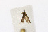  ( - NHMO-DAR-12792)  @11 [ ] CreativeCommons - Attribution Non-Commercial Share-Alike (2017) Unspecified University of Oslo, Natural History Museum