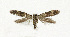  ( - NHMO-DAR-12817)  @13 [ ] CreativeCommons - Attribution Non-Commercial Share-Alike (2017) Unspecified University of Oslo, Natural History Museum