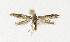  ( - NHMO-DAR-12818)  @13 [ ] CreativeCommons - Attribution Non-Commercial Share-Alike (2017) Unspecified University of Oslo, Natural History Museum