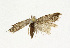  ( - NHMO-DAR-12836)  @11 [ ] CreativeCommons - Attribution Non-Commercial Share-Alike (2017) Unspecified University of Oslo, Natural History Museum