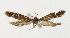  ( - NHMO-DAR-12855)  @11 [ ] CreativeCommons - Attribution Non-Commercial Share-Alike (2017) Unspecified University of Oslo, Natural History Museum