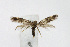  ( - NHMO-DAR-12856)  @13 [ ] CreativeCommons - Attribution Non-Commercial Share-Alike (2017) Unspecified University of Oslo, Natural History Museum