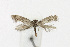  ( - NHMO-DAR-12857)  @13 [ ] CreativeCommons - Attribution Non-Commercial Share-Alike (2017) Unspecified University of Oslo, Natural History Museum