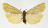  ( - NHMO-DAR-12866)  @14 [ ] CreativeCommons - Attribution Non-Commercial Share-Alike (2017) Unspecified University of Oslo, Natural History Museum