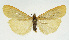  ( - NHMO-DAR-12867)  @14 [ ] CreativeCommons - Attribution Non-Commercial Share-Alike (2017) Unspecified University of Oslo, Natural History Museum