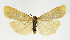  ( - NHMO-DAR-12868)  @11 [ ] CreativeCommons - Attribution Non-Commercial Share-Alike (2017) Unspecified University of Oslo, Natural History Museum