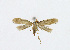  ( - NHMO-DAR-13649)  @13 [ ] CreativeCommons - Attribution Non-Commercial Share-Alike (2017) Unspecified University of Oslo, Natural History Museum
