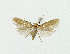 ( - NHMO-DAR-13650)  @13 [ ] CreativeCommons - Attribution Non-Commercial Share-Alike (2017) Unspecified University of Oslo, Natural History Museum