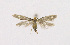  ( - NHMO-DAR-13651)  @13 [ ] CreativeCommons - Attribution Non-Commercial Share-Alike (2017) Unspecified University of Oslo, Natural History Museum